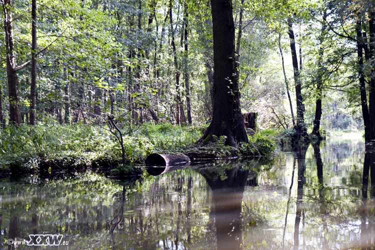 mit dem paddelboot unterwegs