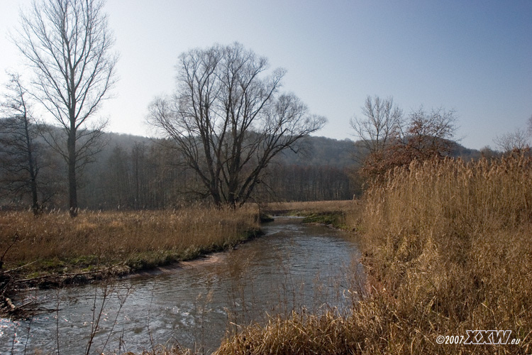 die natur erholt sich