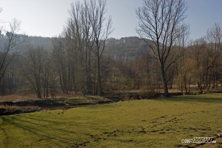 lauteraue 