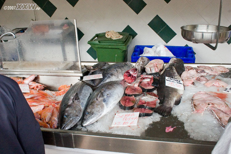 frischer fisch