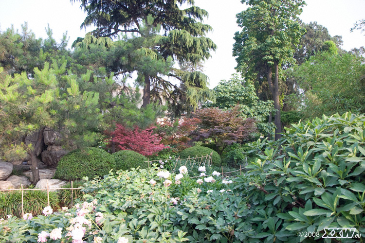 ein wunderschöner park an der wildganspagode