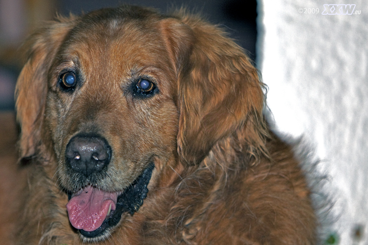 rusty