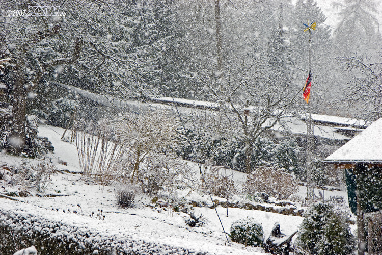 nachbars verschneiter garten