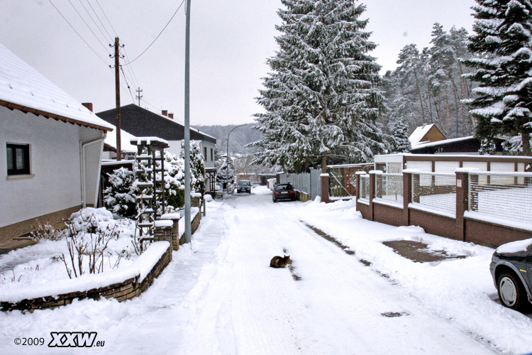 die alt hütt im schnee