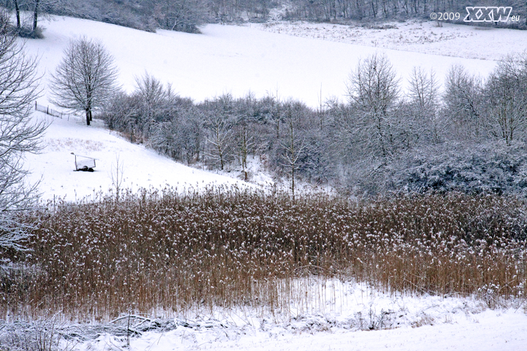 schnee satt
