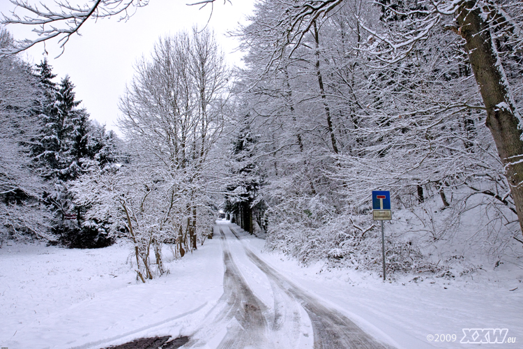 schnee satt