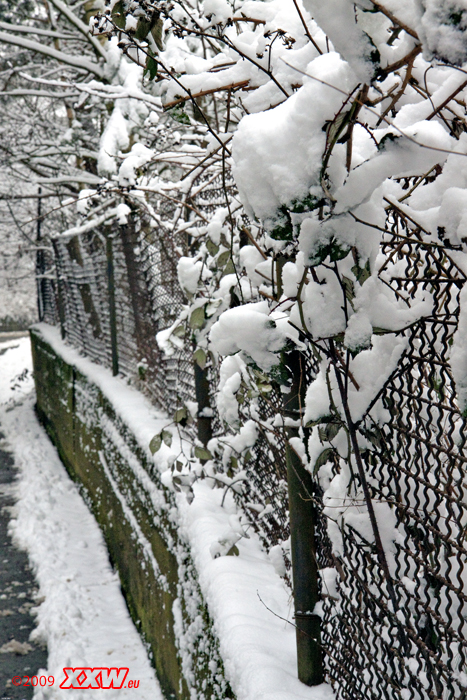 schnee satt