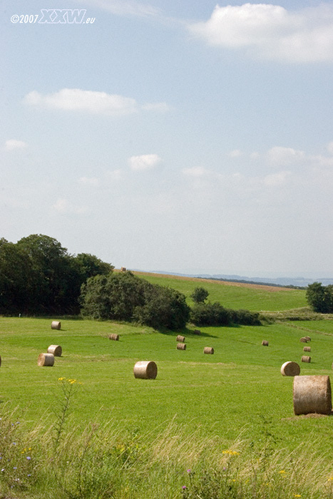hochsommer auf der hochebene