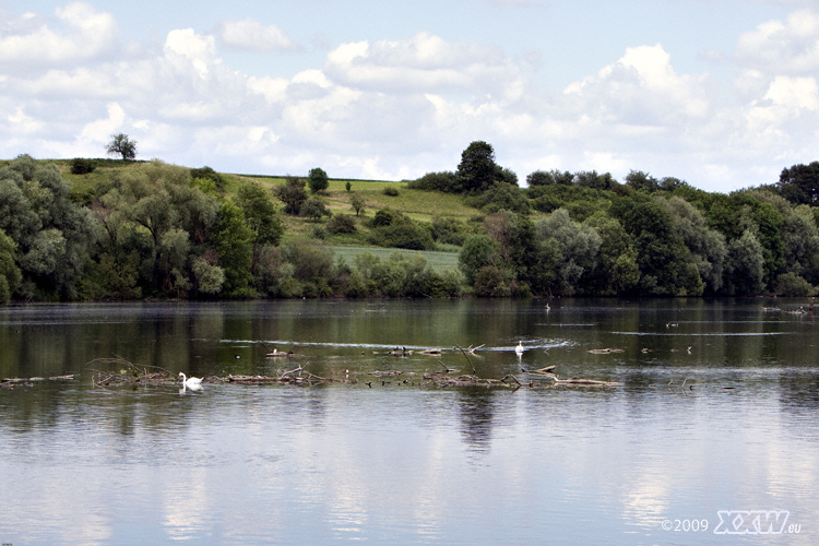 der stausee