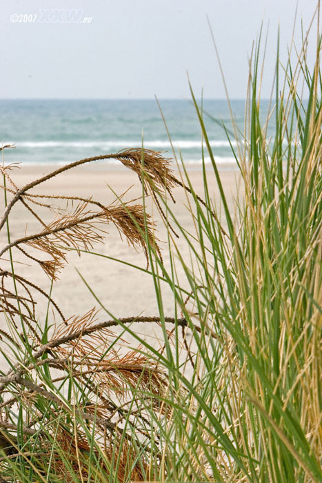 strandblick