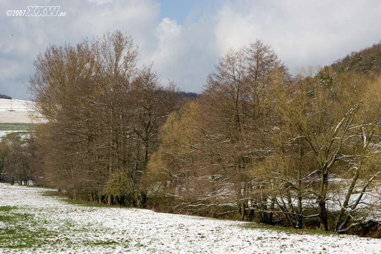 zwischen schallodenbach und niederkirchen