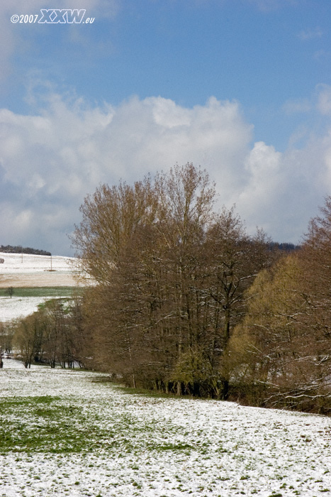 zwischen schallodenbach und niederkirchen