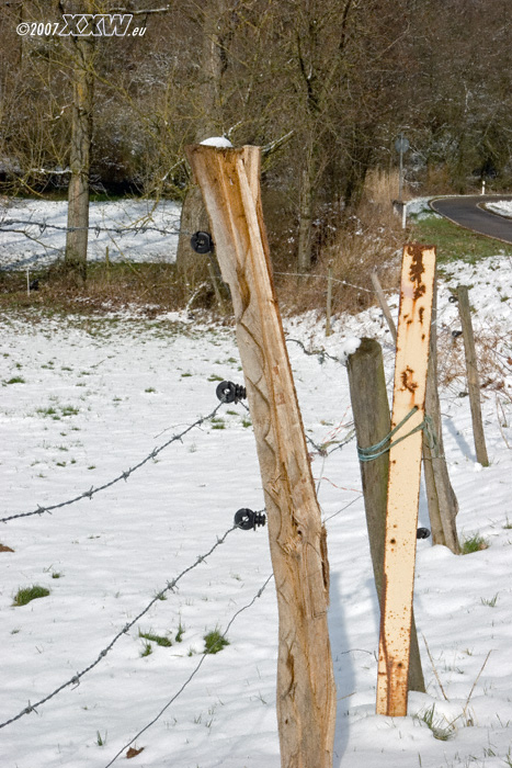 schnee ende märz?