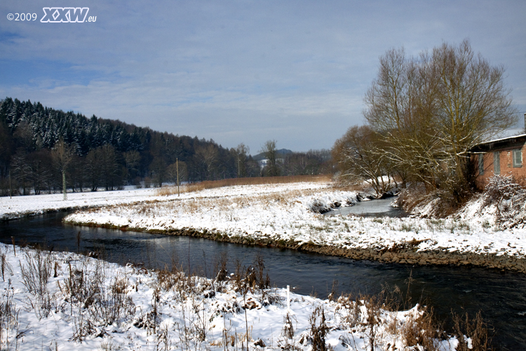die lauter