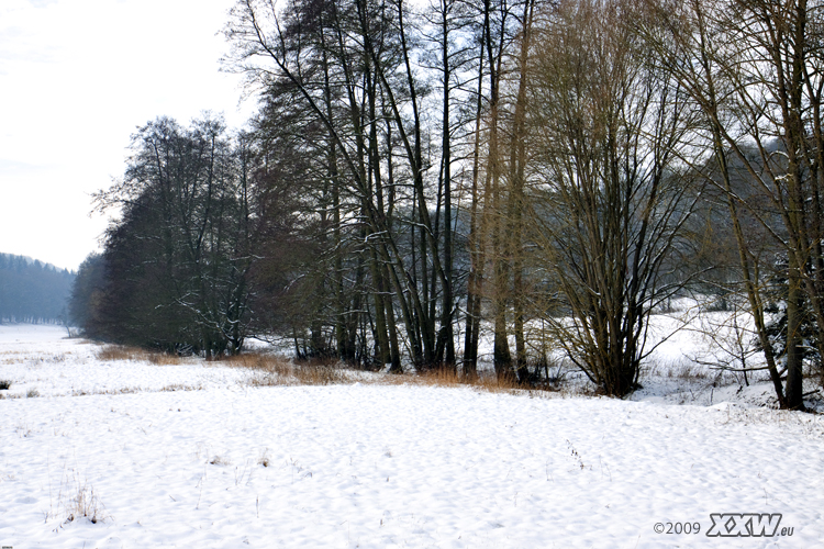 blick in richtung weilerbach