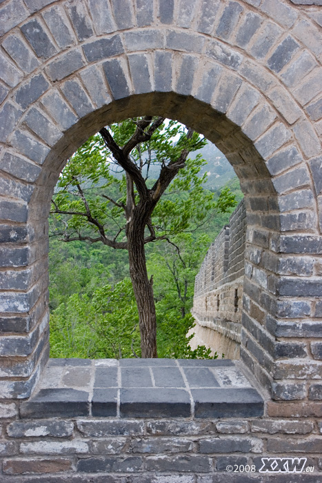 blick durch ein fenster