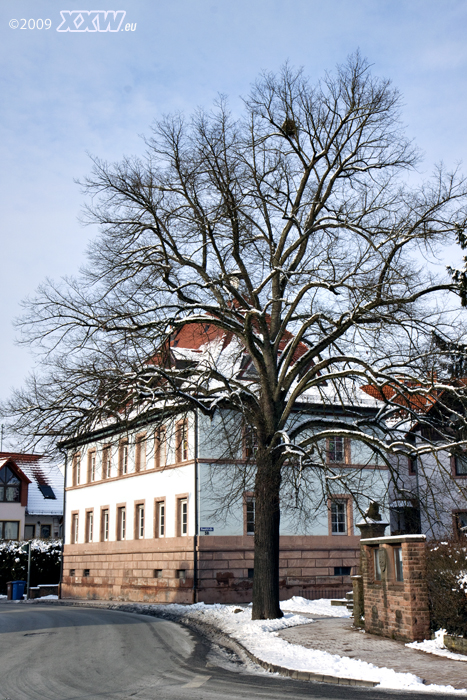 das bürgerhaus