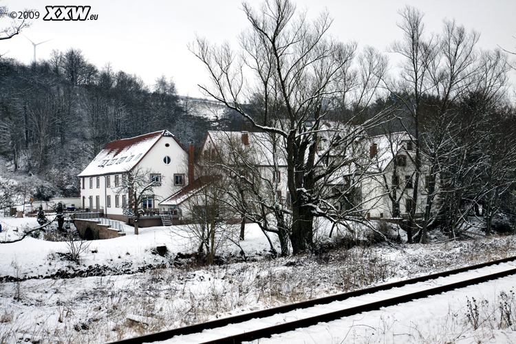 tierf verschneit