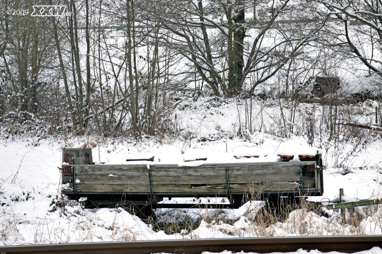tierf verschneit