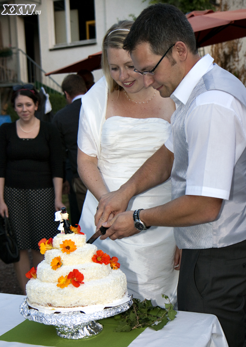die torte wird angeschnitten