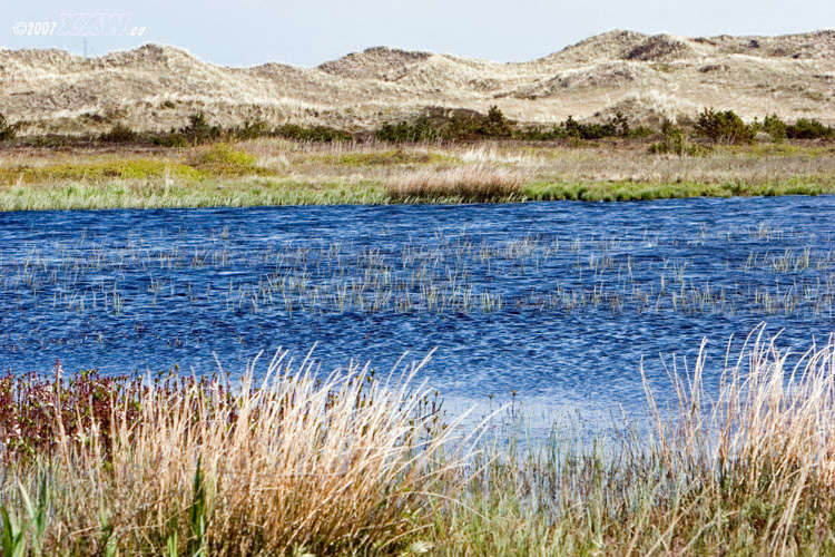 moorlandschaft direkt am meer