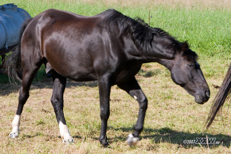 hinterher